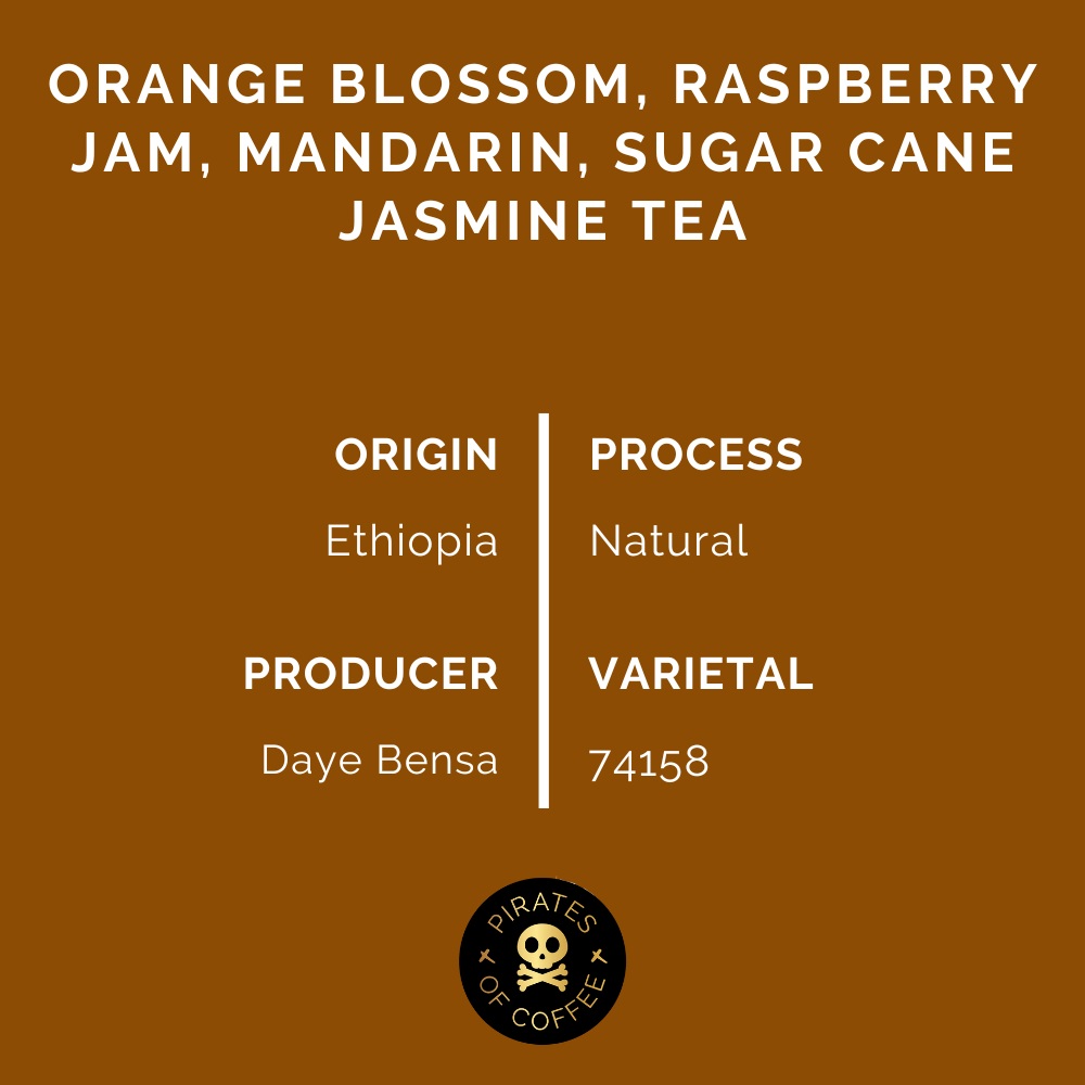 Pirates Hamasho Filter - Ethiopia Natural (250g)