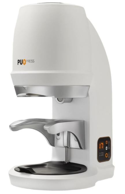 PUQ Q2 White