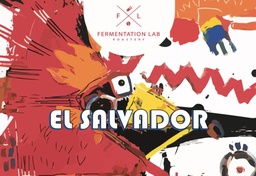 [SX02722] Fermenatation Lab El Savador Espresso 250 G